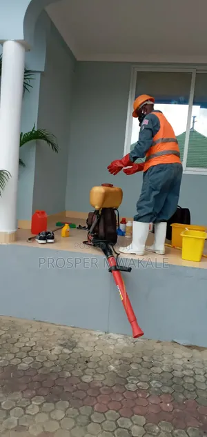 Fumigation Cleaning Services