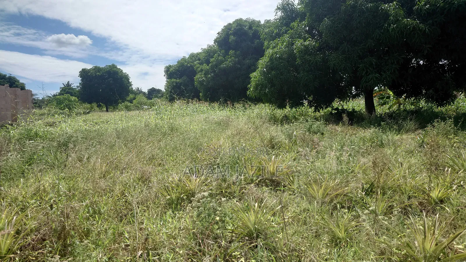 Kiwanja Kinauzwa Kiwangwa Bagamoyo