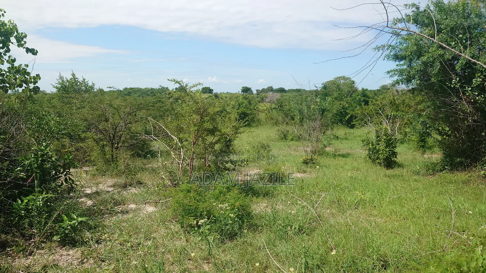 Shamba La Ekri 50 Fukayosi Bagamoyo