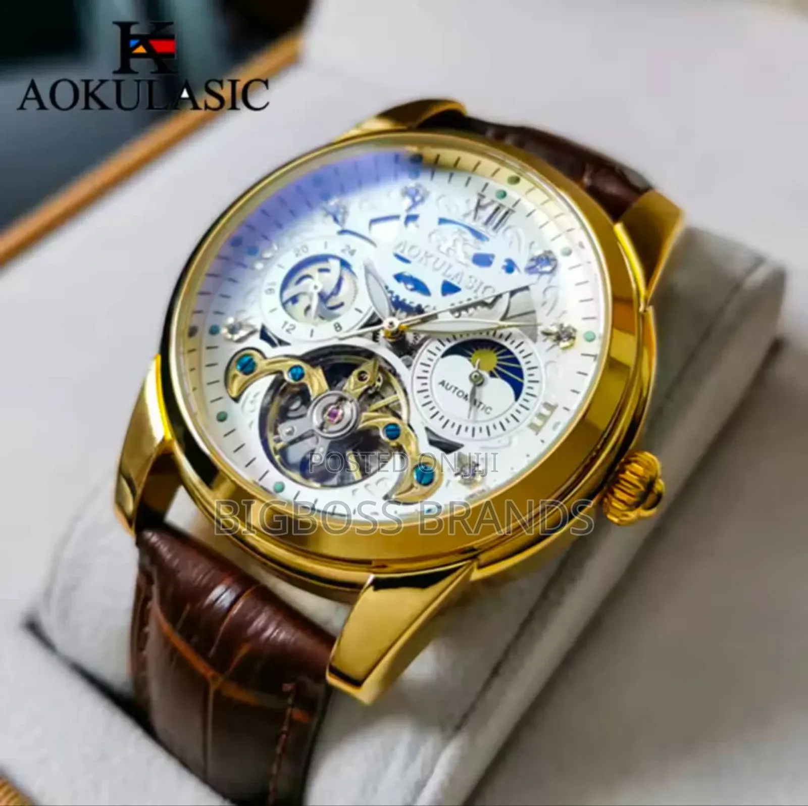 Aokulasic Mechanical Watch