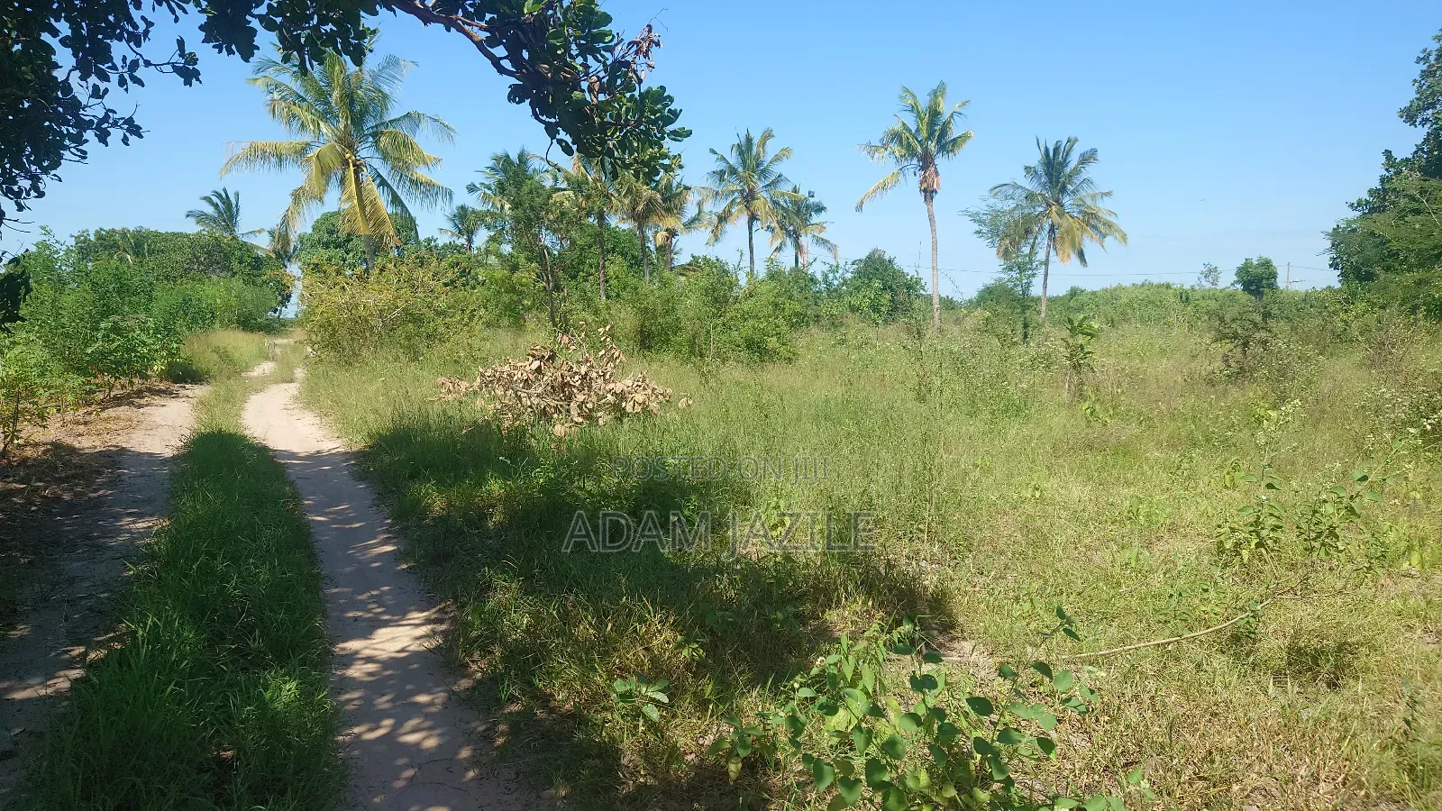 Eneo La Barabarani Bagamoyo Ekari 10