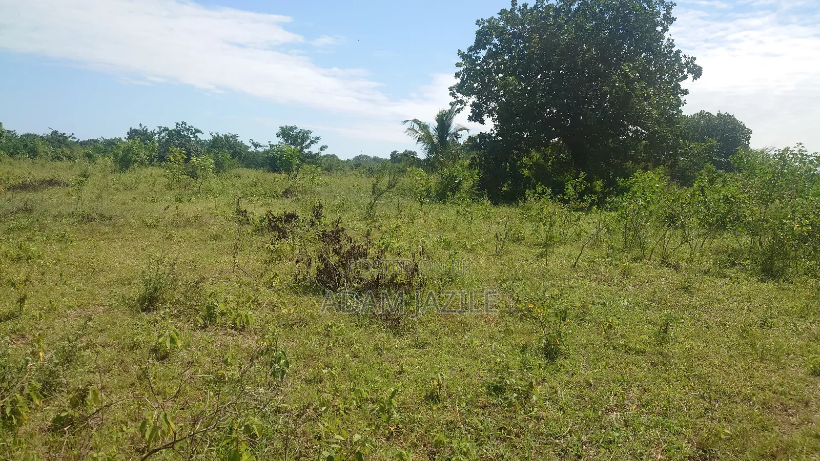 Eneo La Barabarani Bagamoyo Ekari 10