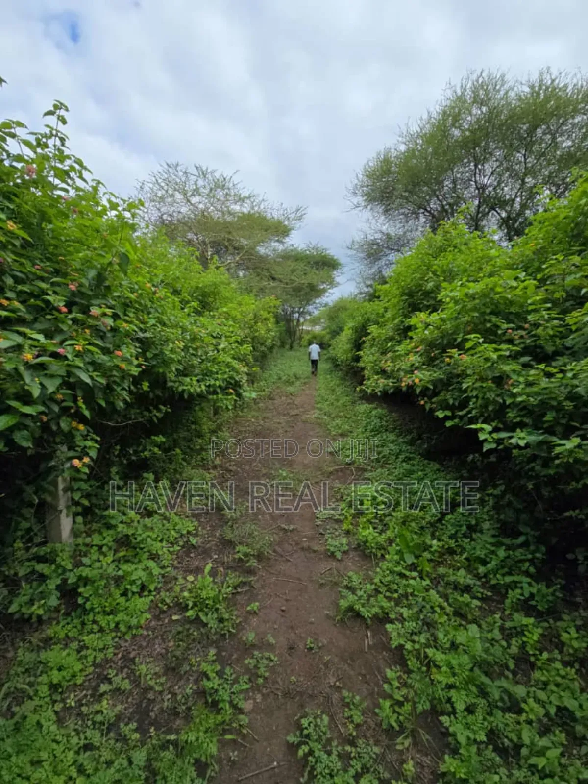 Shamba Linauzwa Usa River Arusha