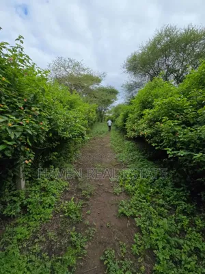 Shamba Linauzwa Usa River Arusha