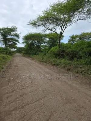 Shamba Linauzwa Usa River Arusha