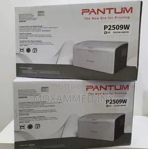 Pantum P2509’W Printer
