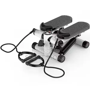 Mini Stepper Twist Stepper Machine