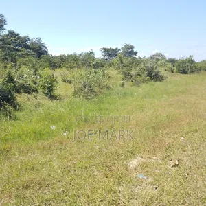 6 Acres for Sale at Chamakweza Chalinze