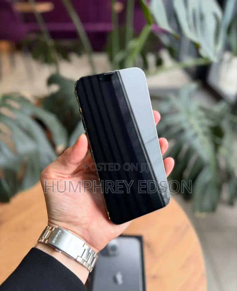 New Apple iPhone 13 Pro Max 256 GB Black