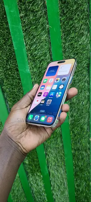 Apple iPhone 15 Pro Max 256 GB Gray