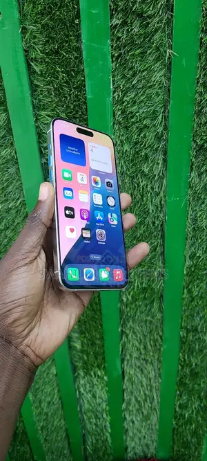 Apple iPhone 15 Pro Max 256 GB Gray