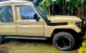 Photo - Toyota Land Cruiser 1995 Beige