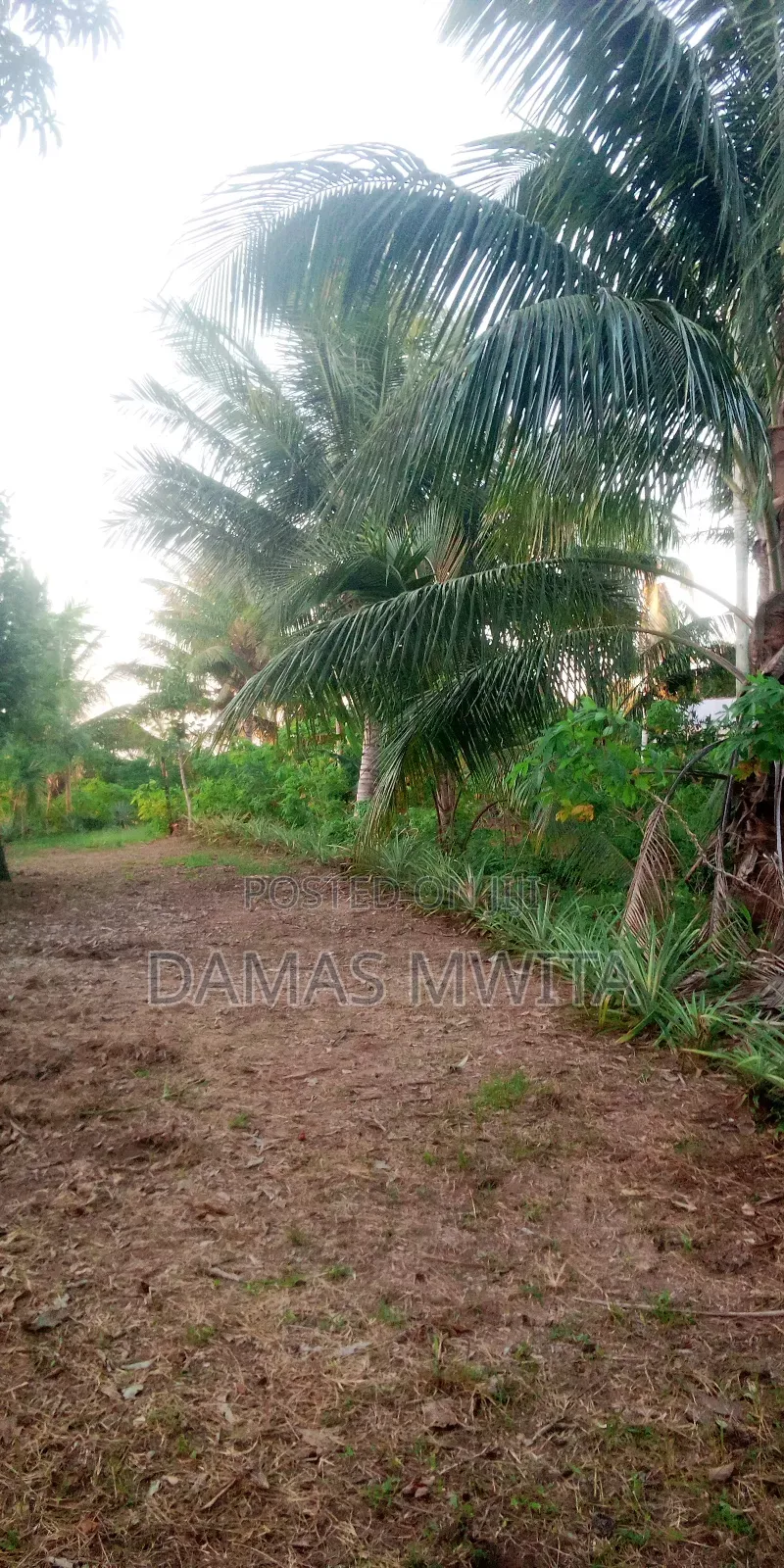 Prime Industrial Land 68000sqm Near Mkuranga Naturalgas Well