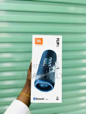 JBL Flip 6