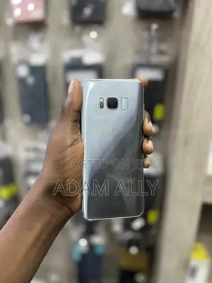 Samsung Galaxy S8 64 GB Gray