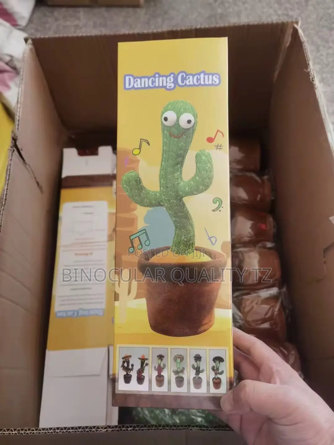 Dancing Cactus
