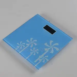 Bathroom Scale
