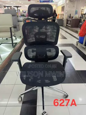 Ergonomic Chair