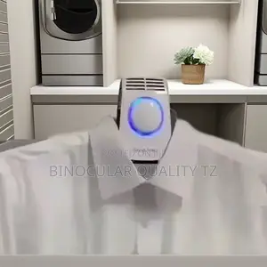Electric Shoe