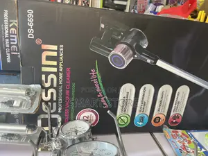 Desin Professional Cordless Vacuum Cleaner – Model Ds-6690