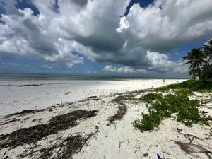 Beach Plot for Sale at Zanzibar