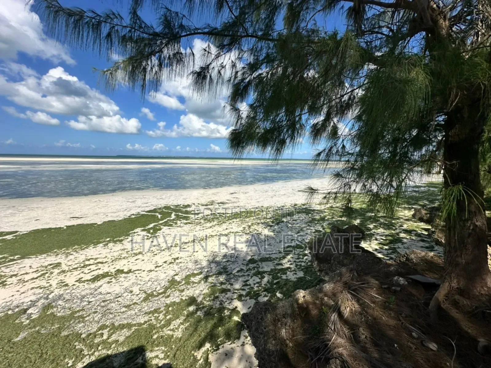 Beach Hotel for Sale at Zanzibar