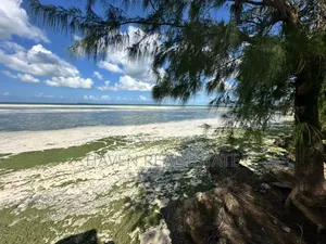 Beach Hotel for Sale at Zanzibar