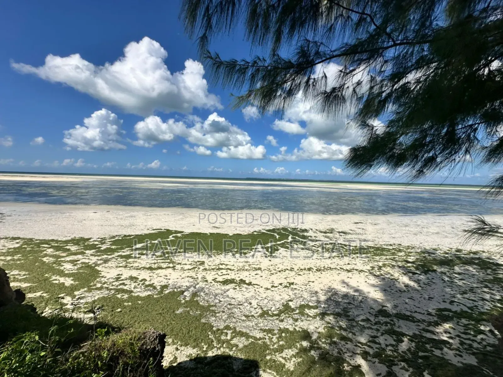 Beach Hotel for Sale at Zanzibar