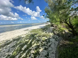 Beach Hotel for Sale at Zanzibar