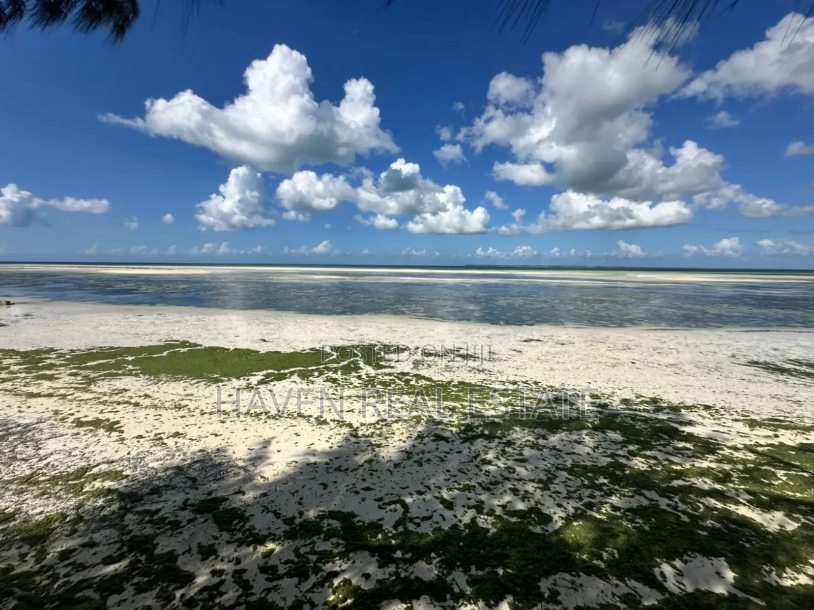 Beach Hotel for Sale at Zanzibar