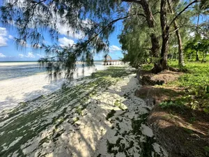 Beach Hotel for Sale at Zanzibar