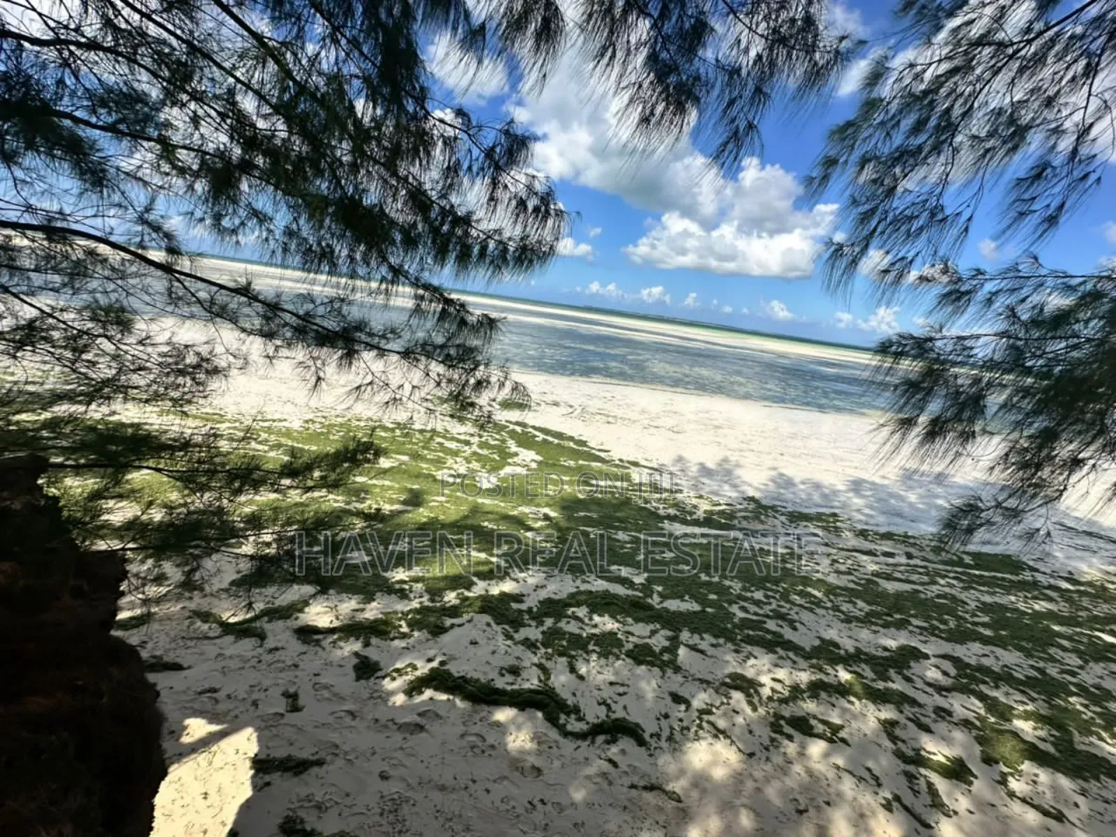 Beach Hotel for Sale at Zanzibar