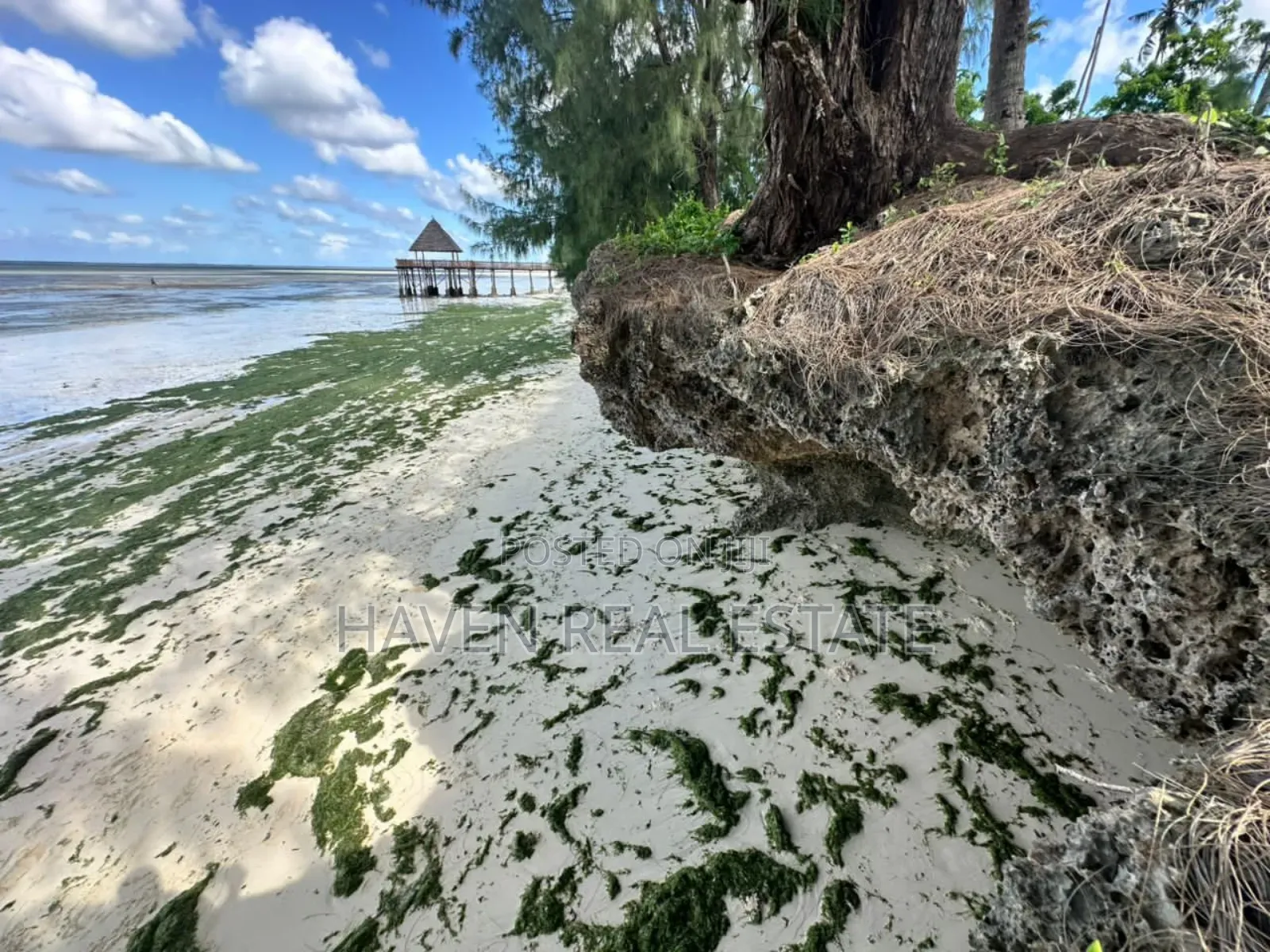 Beach Hotel for Sale at Zanzibar