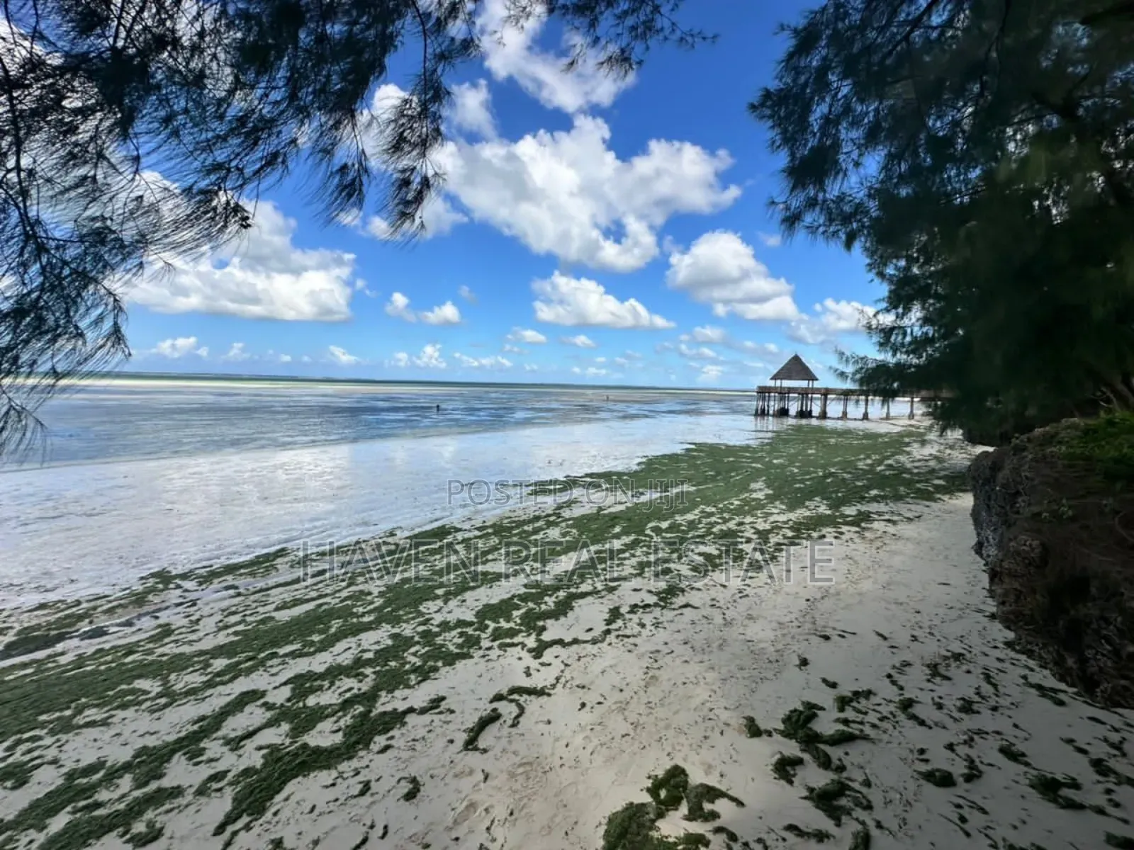 Beach Hotel for Sale at Zanzibar