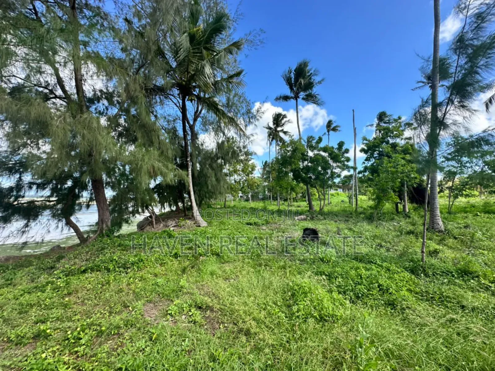 Beach Hotel for Sale at Zanzibar