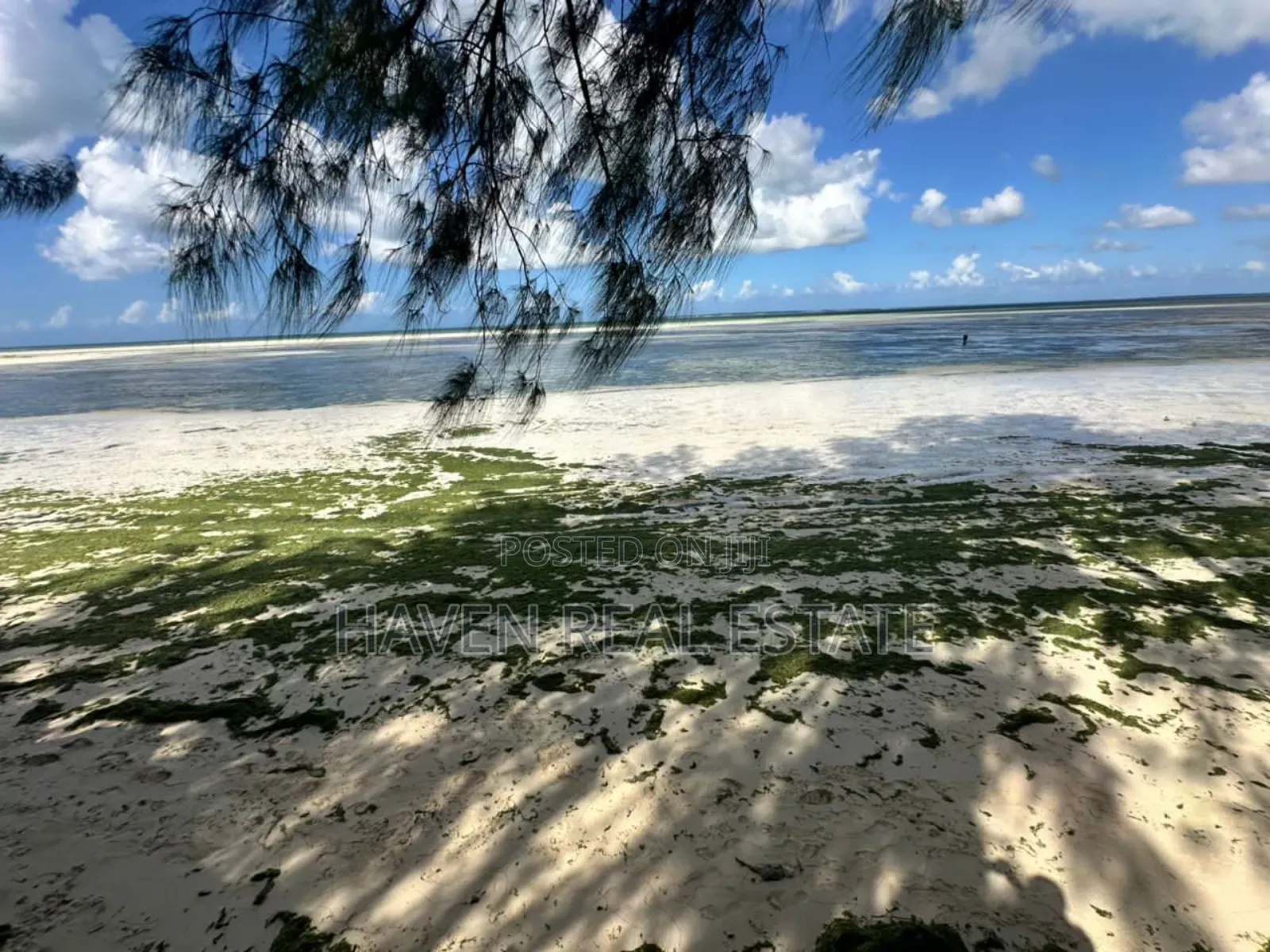 Beach Hotel for Sale at Zanzibar