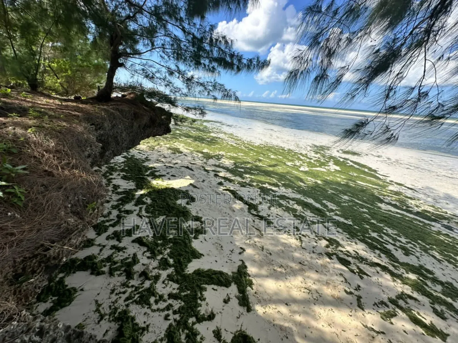 Beach Hotel for Sale at Zanzibar