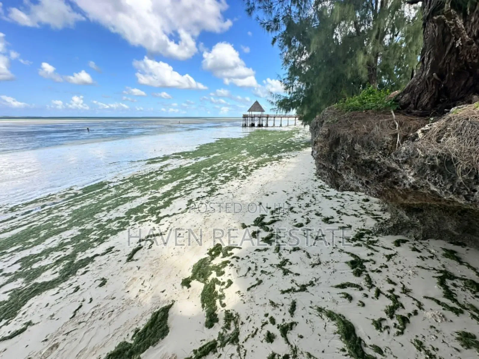 Beach Hotel for Sale at Zanzibar
