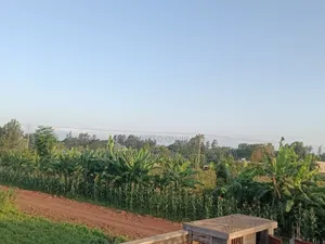 Plot For Sale In Burka 900 Square Meters.