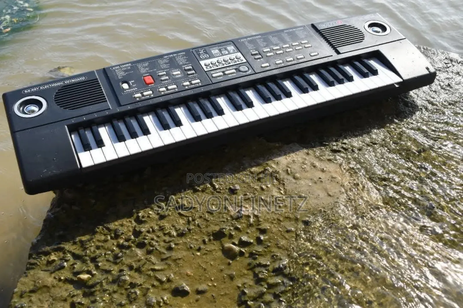 Electronic Keyboard (Canto54key)
