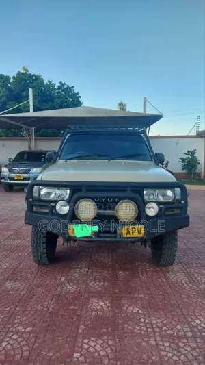 Photo - Toyota Land Cruiser 2003 Brown