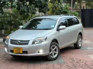 Toyota Corolla Fielder 2007 Silver