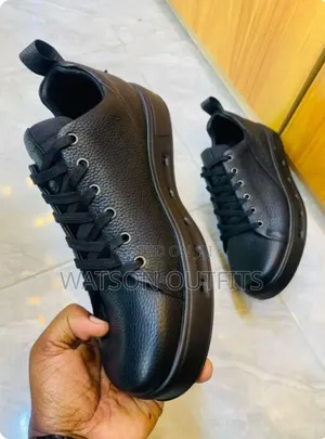 Men's Ecco Shoes Completely Top With Attractive Form
