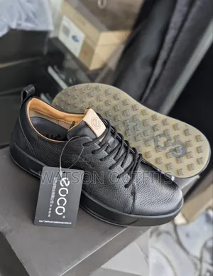 Men's Ecco Shoes Completely Top With Attractive Form
