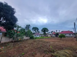 Plot Inauzwa Goba Njianne