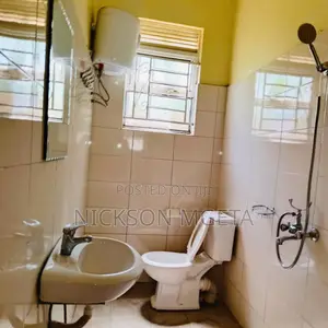 2bdrm Apartment in Dalali Nick Mwanza, Ilemela for rent