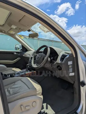 Audi Q5 2009 Silver