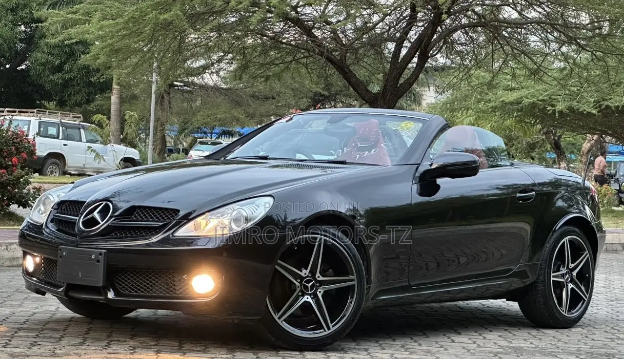 Mercedes-Benz SLK-Class 2010 Black