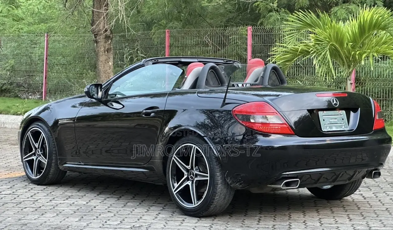 Mercedes-Benz SLK-Class 2010 Black