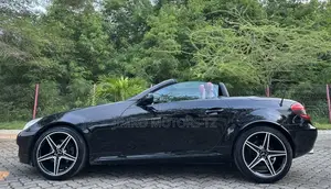 Mercedes-Benz SLK-Class 2010 Black